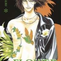  ����� - Flower <small>Story & Art</small> 